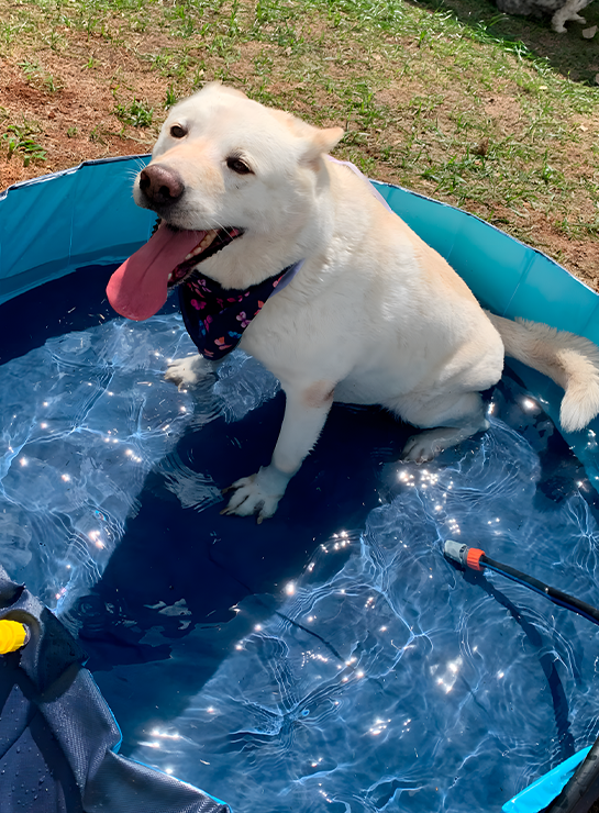 IMG DOBRA 06 BOUTIQUE 01