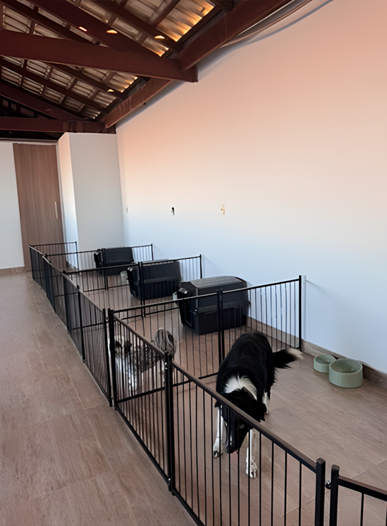 IMG DOBRA 06 BOUTIQUE 07